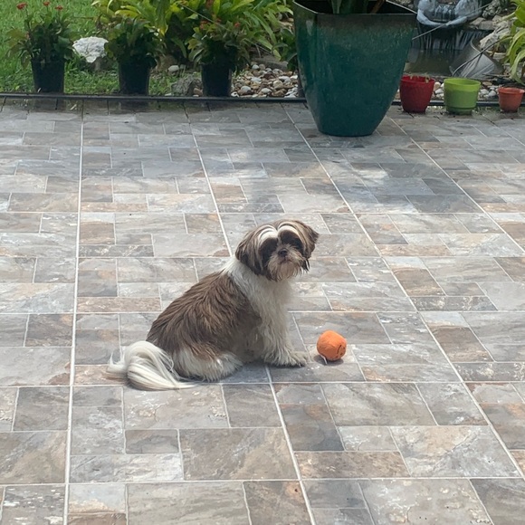 Meet your Posher, Mariana - Picture 1 of 1